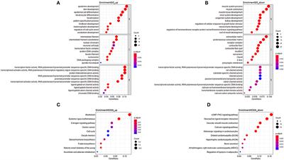 Integrated Bioinformatic Analysis of a Competing Endogenous RNA Network Reveals a Prognostic Signature in Endometrial Cancer